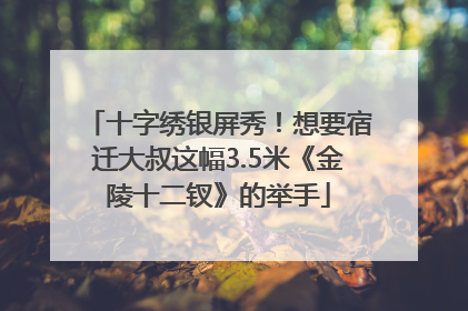 十字绣银屏秀！想要宿迁大叔这幅3.5米《金陵十二钗》的举手
